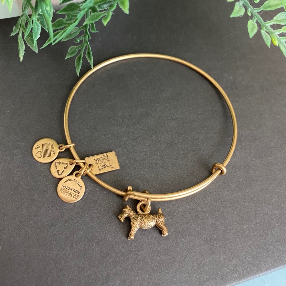 Alex and Ani Gold Dog Charm Bracelet